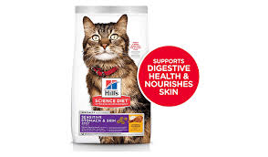 The best wet cat food: 10 Best Cat Food For Indoor Cats 2020 Review Dealiving Com Best Cat Food Cat Food Brands Indoor Cat Food