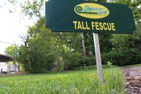 We did not find results for: The Best Times To Apply Fertilizer
