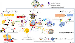 Risks symptoms pancreatic cancer scotland. The Microbiota And Microbiome In Pancreatic Cancer More Influential Than Expected Molecular Cancer Full Text