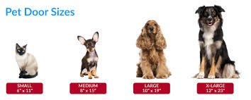 Check spelling or type a new query. Wall Mount Single Flap Pet Door Dog Doors For Walls Utah