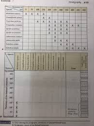 Solved Stratigraphy Organizing The Rock And Fossil Record