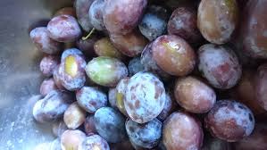 Dieses jahr habe ich meine liebe zum eigenanbau und saisonale außerdem erkennt man reife zwetschgen an der dunkelblauen farbe und am weichen druck. Kann Ich Pflaumenmus Kochen Wenn Die Die Pflaumen Nicht Ganz Reif Sind