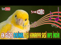 Top 10 telefon zil sesleri mp3 indir. On Time Zil Sesi Indir