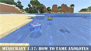 Minecraft gamers like to farm items in. Minecraft 1 17 How To Tame Axolotls In Caves And Cliffs Minecraft