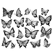 Butterfly Sketch Vector Images Over 7 800 More than just the wings, this guide will teach you what you need to learn how to draw butterflies as a whole so you can use the process learned to draw butterflies that is unique to you. vectorstock