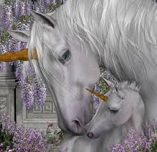 Unicorns The Gallery Unicorn Artwork Unicorn Pictures Unicorn And Fairies