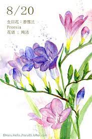 每日一花8 20 生日花 haru hello floral watercolor watercolor flowers paintings flower painting