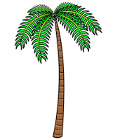 Tree Drawing Palm Tree Drawing Tree Artwork