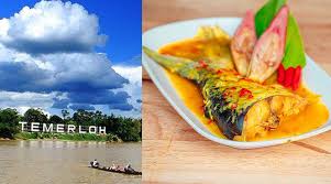 Masak sampai mendidih dan air sedikit. 5 Lokasi Wajib Datang Untuk Nikmati Ikan Patin Masak Tempoyak Di Temerloh