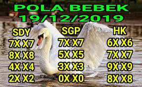 Syair Togel Hongkong 19 Desember 2019 Tokosyair Com Oxxo November 2019
