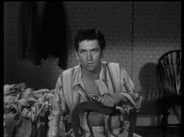 Test DVD - La Cinquième Victime (While the City Sleeps) 1956 - Wild Side *  Film Noir CineFaniac - Tout sur les films noirs