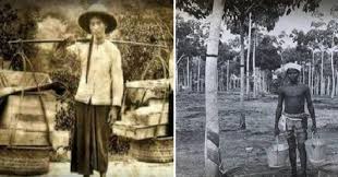 Kedah dikatakan antara negeri terawal yang menerima islam di tanah melayu. Bangsa Melayu Bukanlah Pendatang Inilah Bukti Sebenar Sejarah Kedatangan Cina Dan India Di Tanah Melayu Viral Purba