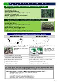 .sesungguhnya, hutan amat bernilai kepada kehidupan di muka bumi. Sample Nota Geografi Spm By Buku Geografi Issuu