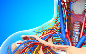 Thoracic Outlet Syndrome Or Carpal Tunnel Syndrome Kc Bone Joint