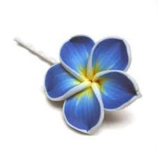 Frangipani Plumeria Blue Yellow And White Bobby By Sovereignsea Plumeria Flower Tattoos Plumeria Plumeria Tattoo