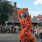 Lions Gisborne Festival event image
