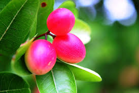 Colour Fruit Instagram Photo Instagram Photo