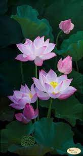 Bead Embroidery Kit Lotus Flowers Needlework Kit Floral Bead Etsy In 2020 Lotus Flower Pictures Lotus Flower Colors Flower Aesthetic