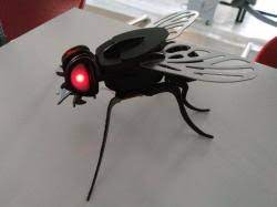 Every day new 3d models from all over the world. Cuisine Fly 3d Stlfinder