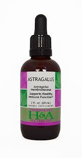 Image result for Astragalus