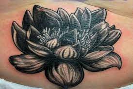 Simple Black Lotus Tattoo Ideas Flower Meanings Pictures And Photos Lotus Flower Tattoo Lotus Flower Tattoo Design Black Lotus Tattoo