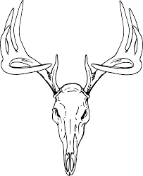 How to draw a military skull, step by step, drawing guide, by dawn. Deer Skull Drawing Deer Drawing Deer Skull