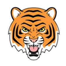 Cartoon picture of the face of a smiling tiger, vector or color illustration. How To Draw A Tiger Head Cartoon Youtube