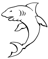 Pin On Fish Study