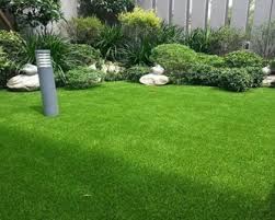 Oleh karena itu, pemupukan pada rumput jepang mesti dilakukan sesering mungkin. Jenis Jenis Rumput Yang Cocok Menjadi Karpet Hijau Di Halaman Rumah