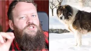 TikTok canine behaviourist shares 'dangerous' dog breeds that usually 'go  terribly wrong' for owners