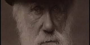 دانستنی های جهان آرشیو