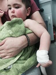 Donna Truscott's Instagram, Twitter & Facebook