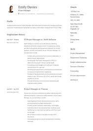 Junior and senior examples, as well as pdf and web templates. 20 Project Manager Resume Examples Full Guide Pdf Word 2020