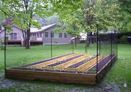 Raised garden with deer fence. Van Putte Gardens Is Under Construction Diy Garden Fence Backyard Fences Small Backyard Gardens