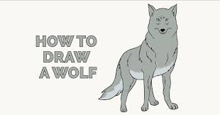 In this drawing lesson we'll show you how to draw a wolf in 8 easy steps. How To Draw A Wolf Easy Step By Step Drawing Guides