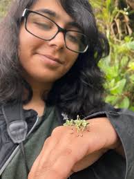 Word from the Smokies: Students compare Smokies and tropical ecology