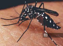 Oleh demikian, masyarakat malaysia tidak perlu. Covid 19 Kes Penyakit Berjangkit Menurun