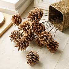 We did not find results for: Buy Johouse Natural Pine Cones Christmas Rustic Pinecones Fall Garland Halloween Thanksgiving Decorations Christmas Tree Fall Ornaments 18 Pcs Online In Turkey B075q98p4d