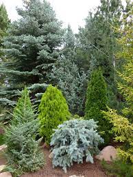 ✅ browse our daily deals for even more savings! Conifer Garden In Colorado Landscaping Ideas Pinterest Gardens With Regard To 10 Conifer Garden Ideas Most Of The Amazing As Well As Gorgeous Evergreen Landscape Colorado Landscaping Conifers Garden