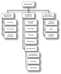 Organizational Chart Of Robots Manufacturers Inc