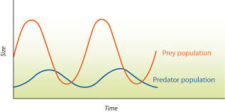 predation read biology ck 12 foundation