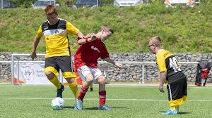 Fussballspielen Wie Die Profis Bundesweite Inklusive Fussballfreunde Cups 2019 Dfb Deutscher Fussball Bund E V