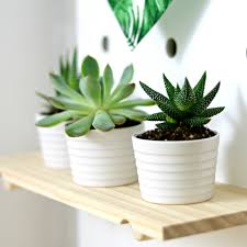 The theme is suitable for interior designing sites, home decor sites, architectural firms, decoration. Southern In Law Home Styling Inspiration And Ideas Monthly Decor Themes