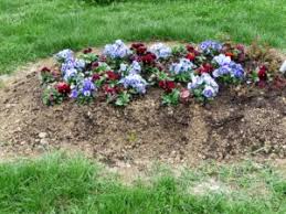 Im sonnenwarmen boden werden die pflanzen rasch wurzeln schlagen. Grabbepflanzung Fur Fruhling Sommer Herbst Winter