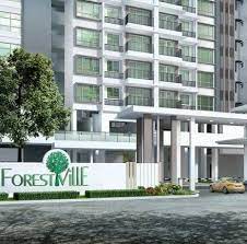 How ideal management will assist you in managing your property? Forest Ville By Ideal Property Group Home Facebook