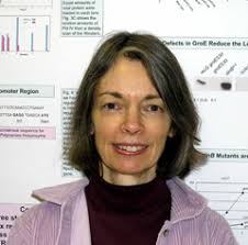 Biologists earn grants: Biology Alumni Newsletter: Summer 2011:  Newsletters: News & Events: Department of Biology: Indiana University  Bloomington