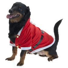 Manteau Pere Noel Pour Chien Chien Deguisement Chien Chien Noel