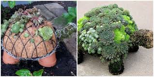 This Succulent Turtle Planter Is Basically A Chic Version Of The Chia Pet Succulents Diy Succulents Chia Pet