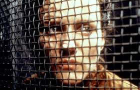 We all enjoyed the terrific party at jim robbins' home; 3 Film Series To Catch In N Y C This Weekend The New York Times