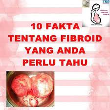 Seroza altında bulunan fibroid, baskıya neden oldukları rahim dış duvarına değecek şekilde gelişir. Furmon Penang Ketumbuhan Fibroid Salah Satu Punca Facebook